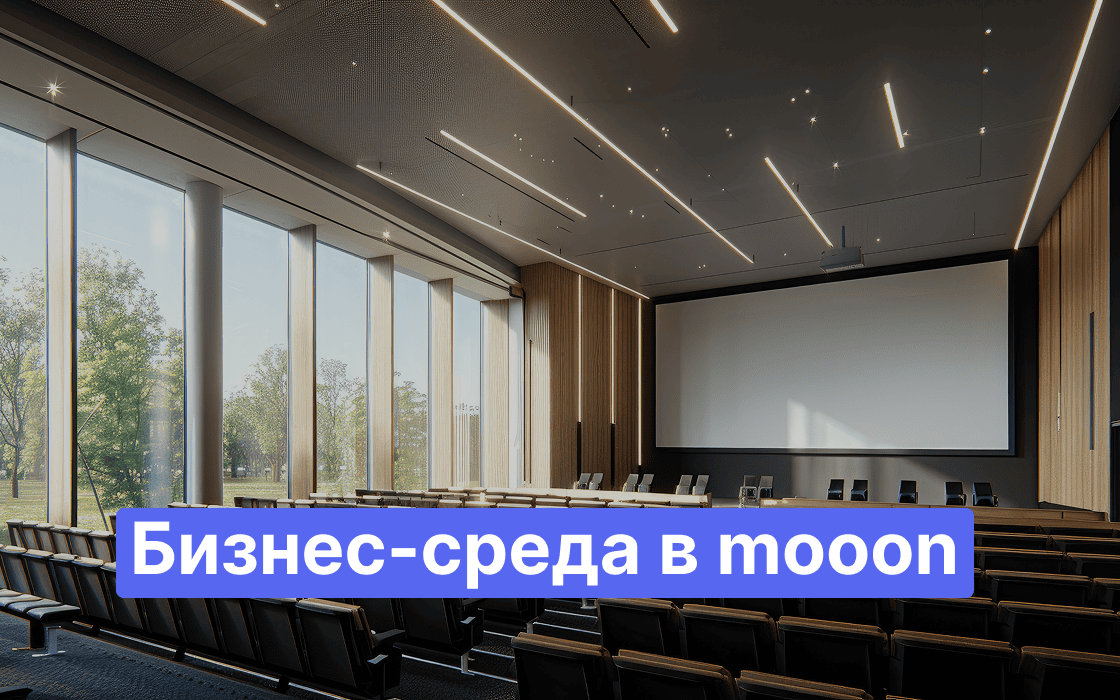 бизнес среда mooon